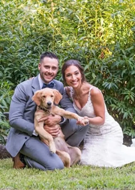 Wedding Tails