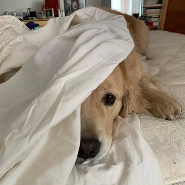 Sleepovers