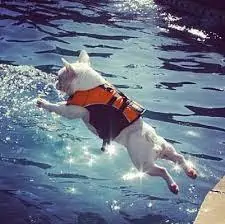 SummerTime Is Fun But But Be Mindful of Dangers