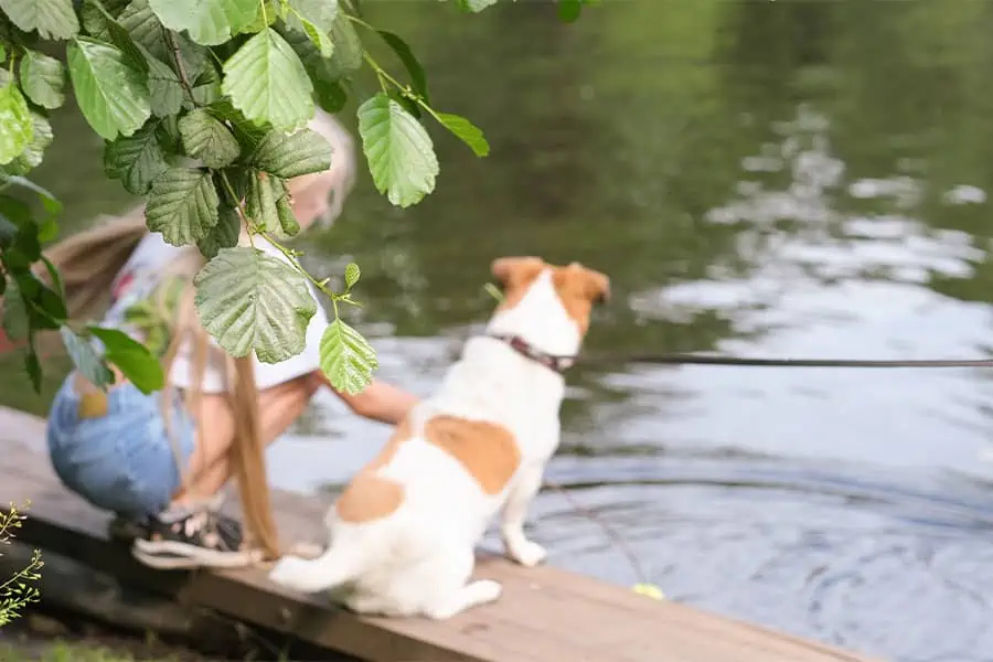 SummerTime Is Fun But Be Mindful of Dangers