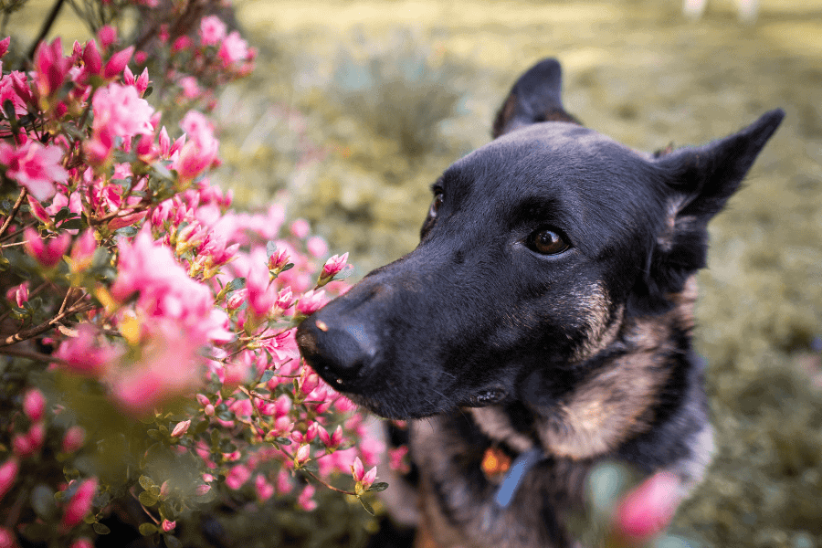 Ensuring Safety in Springtime Adventures