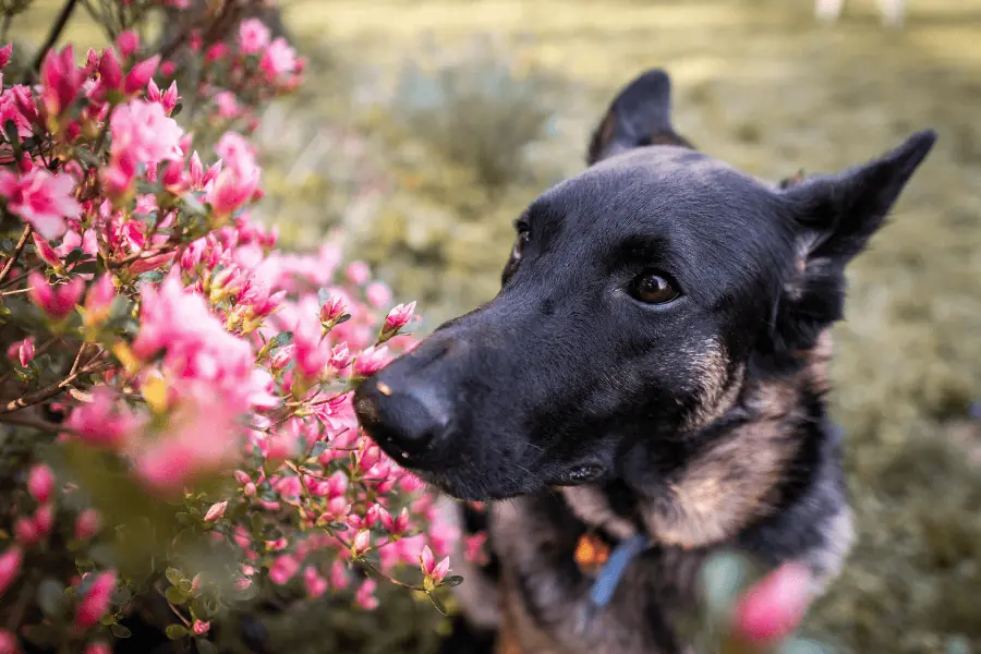 Ensuring Safety in Springtime Adventures