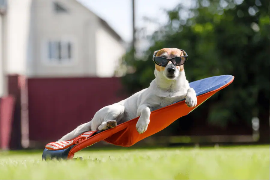 How to Have Fun and be prepared in Summer